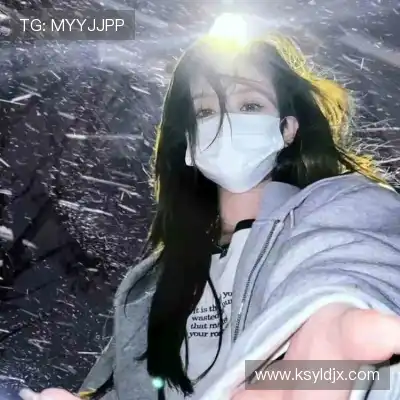 晏清飚